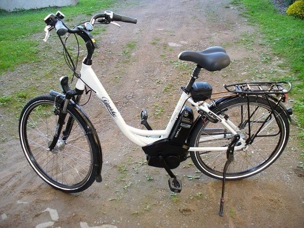 Pedelec Electric Bike