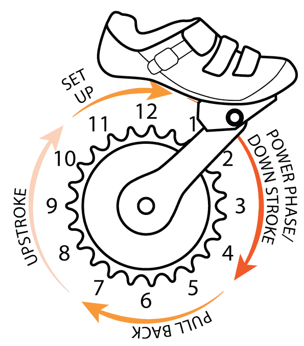 Pedaling Positions