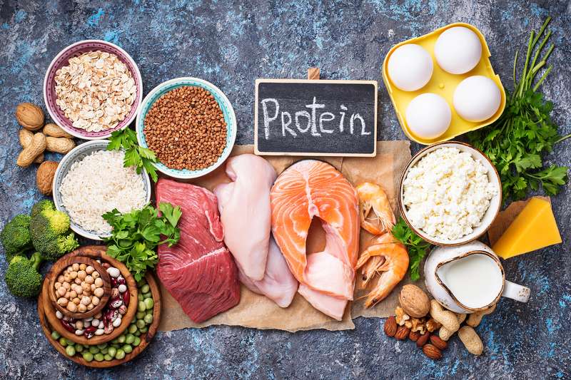 Protein Intakes for Nutrition