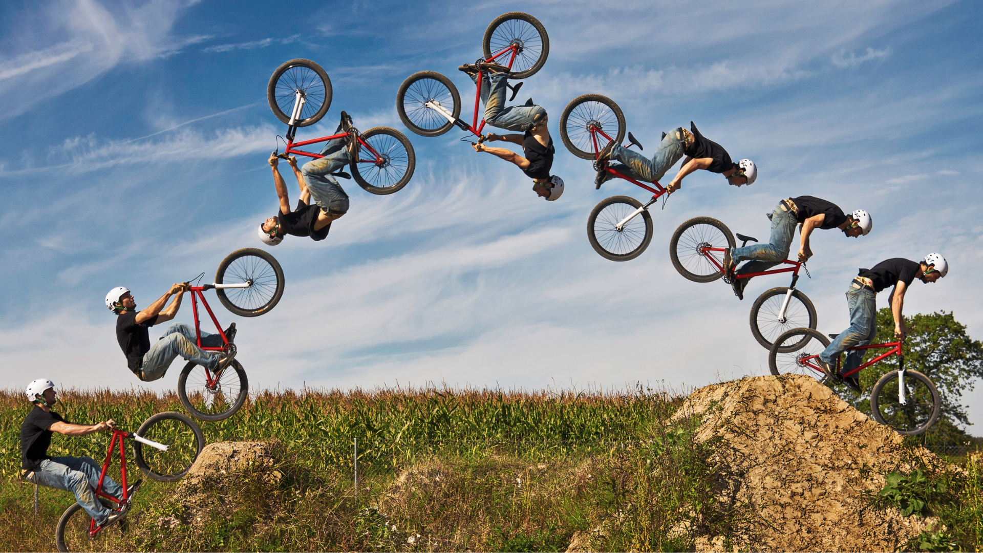 Freestyle BMX Bikes