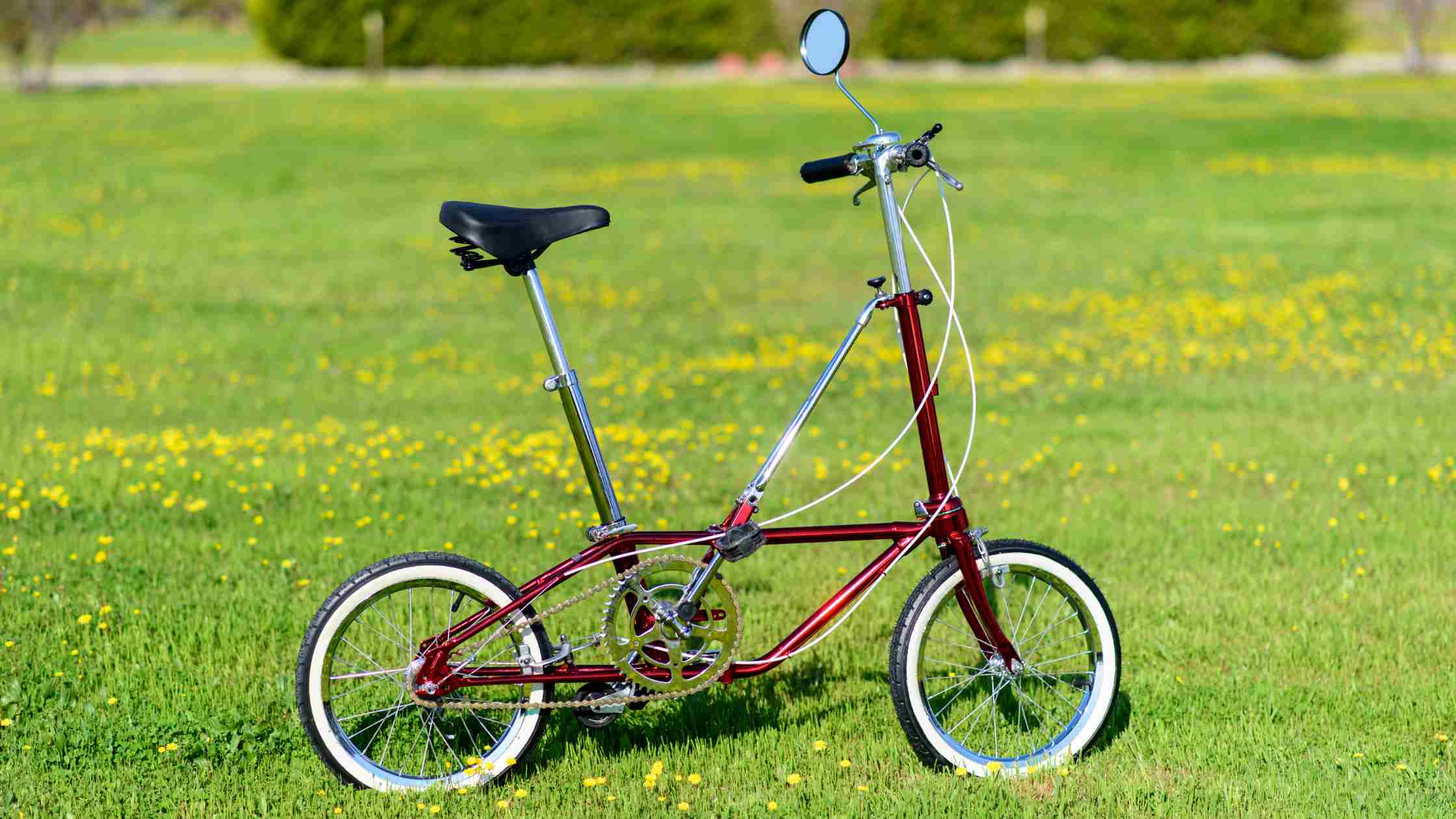 Folding Bike