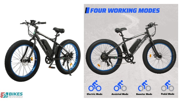 ECOTRIC Fat Tire EBike