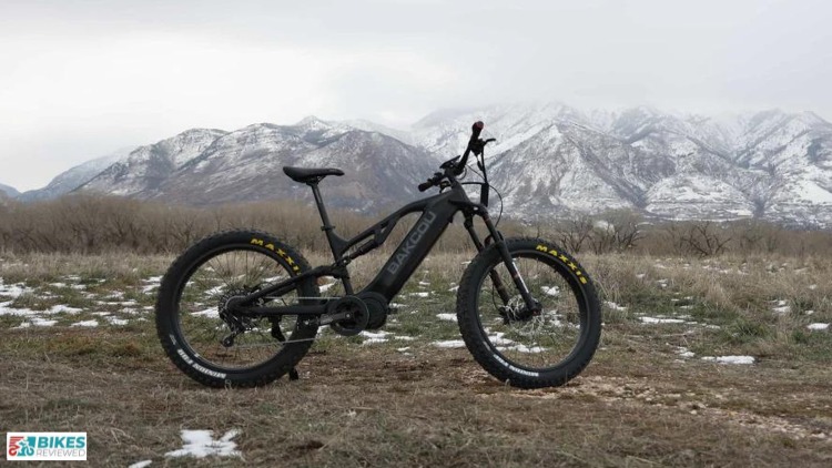 Bakcou Electric Fat Tire Bicycle