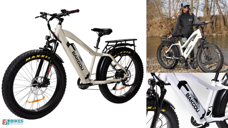 Bakcou FLATLANDER Electric Fat Tire Bicycle